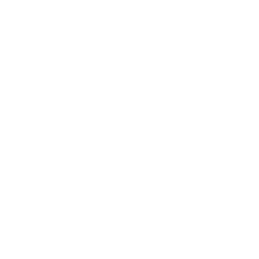 Icon lupa